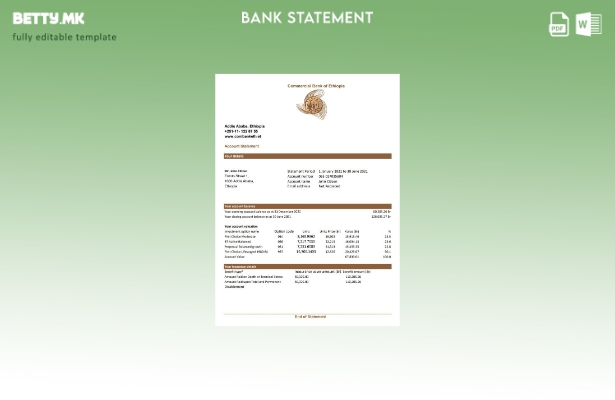 модерен стил Етиопија Шаблон ексел за комерцијален банкарски извод